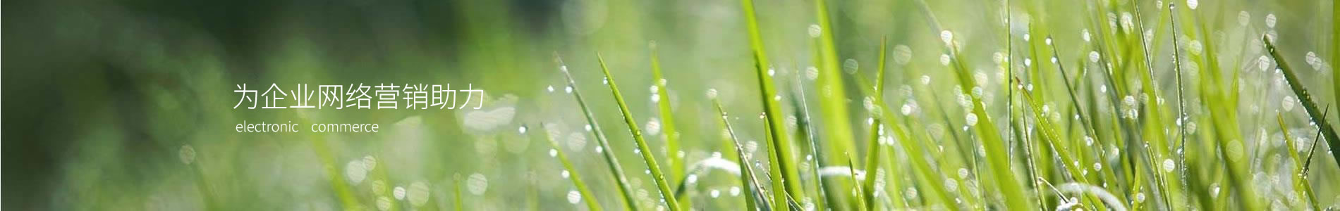 ϵŵ³Ƽ޹˾
